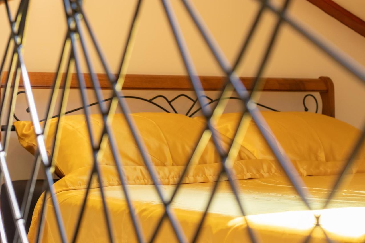 Apartment Gazic ザダル エクステリア 写真