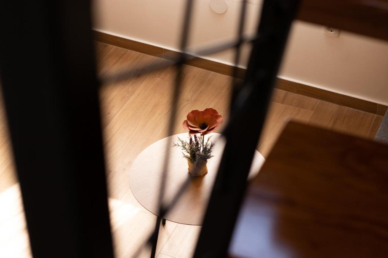 Apartment Gazic ザダル エクステリア 写真